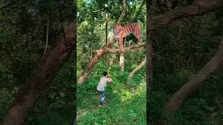 Tiger attack on young boy in forest #tiger #attack #boy #nature #forest #viralshorts