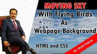 Moving Sky With Birds Flying | Learn HTML and CSS | Mohit Tutorials