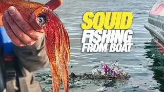 How to catch SQUID from BOAT?