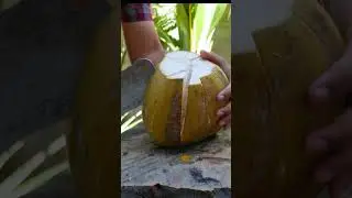 how to peel green coconut skin