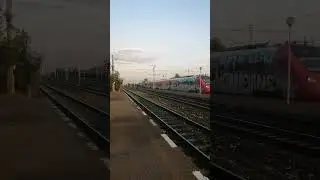 Trenul SOFTRANS #11637(București Nord-Brașov) la Buda (Pentru @Căile.Ferate.Rom&acirc;ne 👍👍👍👍👍😉)