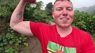 Фермерство в карибских джунглях Доминики!!!
