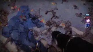Solo Queue Comp At Legend Rank.