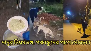 Very inspiring decision. #animalwelfare #animallovers #donate 