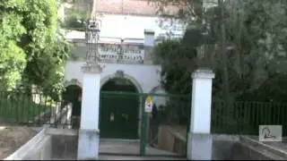 Un paseo por Talave