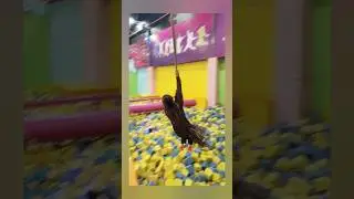 sky jumper trampoline park in Jalandhar.#shots#trending.