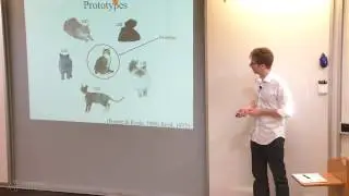 Evaluating Neural Network Representations Against Human Cognition