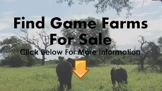 Game Farms For Sale in Mpumalanga
