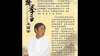 陳式太極拳王西安48散手發勁花絮