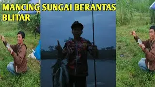 MANCING SUNGAI BERANTAS UMPAN IKANBEKEL /BAUNG ,MANCING IKAN BEKEL,IKAN TAWES