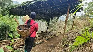 From a dilapidated, abandoned house, the homeless girl rebuilt it into a new home full of hope.