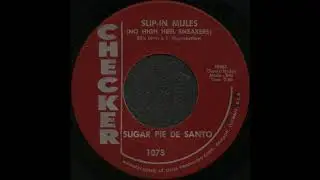 SLIP-IN MULES (NO HIGH HEEL SNEAKERS) / SUGAR PIE DE SANTO [CHECKER 1073]