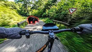 Close Call with a BEAR 🐻 | KuKirin G4 Forest Offroad Ride