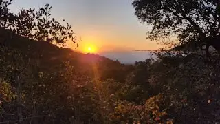 🌊 Discover Big Sur Real Estate: Is Now the Right Time to Buy or Sell? 🌲