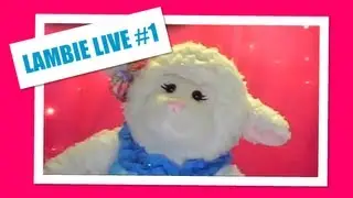 #175: Footage from Lambie's LIVE Show! - LambCam