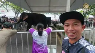 Jalan-Jalan Jumpa GAJAH di HARI TERBUKA PUTRAJAYA.