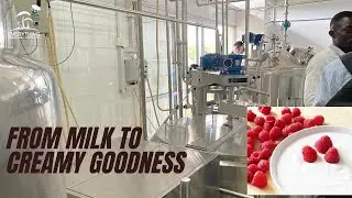 How Commercial Yogurt Production line is done at Livestock and Poultry Research Center (LIPREC)//KIC