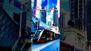 🇦🇺 The Light Rail (Tram) Sydney #australia #aussie #public #publictransport #tram #rail #train