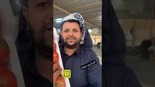 اليوم الأربعاء ٢٠٢٥/١٢/١٠