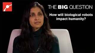 Using Living Cells to Make Biological Robots: MIT Engineer Ritu Raman on Her Pioneering Work