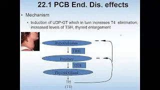 Chapter 23   Toxic chemicals, Part II