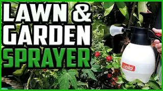 Top 5 Best Lawn and Garden Sprayers in 2022 reviews
