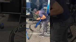 Comprobaci&oacute;n World Tour
