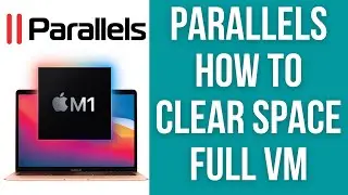 Как исправить ошибку свободного места на виртуальной машине Parallels Windows 11 ARM в macOS WinDirStat