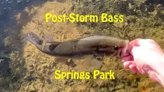 Still Remember How To Catch Bass Like It Was Yesterday. | Fish Release