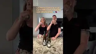 2021 Larch Hills Winery Riesling 4.0/5 Star Canadian Wine Tasting #winewithryan #salmonarm #wine