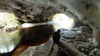 Oparara Valley: Moria gate arch, Oparara Basin Arches and Box Canyon cave