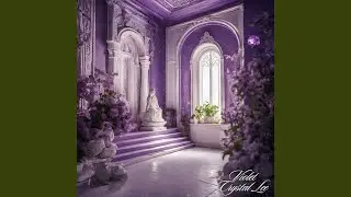 Fashion Dreamland