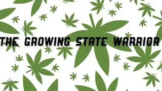 HOW TO GERMINATE CANNABIS SEEDS | PT. 1 AUTO FLOWER GROW