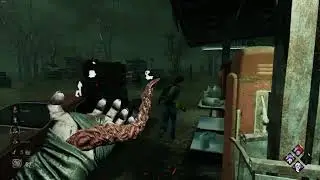 New killer  Ass is under attack