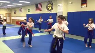 Bill Stevens karate Ramsey nj