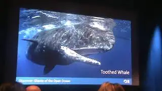 2025 12 26 Giants of The Deep