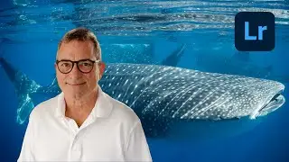Editing Your Whale Shark Image in Lightroom // Underwater Photo Editing
