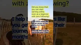 Earning online as a horse owner without a big following