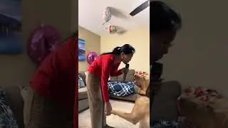 #cover song Ipaglalaban Ko singing it to ou Dog Caleb #viralvideo #puppy #trending #viral #funny 