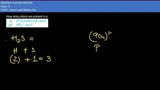 12. How many atoms are present in a(i) H2S molecule and(ii) PO43&ndash; ion?