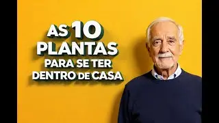 10 Plantas para se ter Dentro de Casa, com dicas de Cultivo.