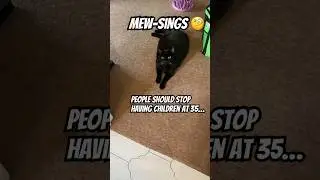 Mewsings 🧐#cat #catlover #musings #viral #ytshorts #funny #trending #catvideos #yt