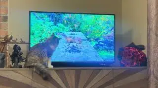 August plays with the TV for the first time