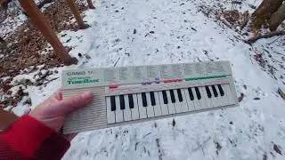Casio PT-1 vs Realistic Concertmate 300 vs Casio SA-1