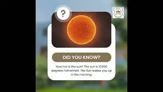 [08] Daily Fun Fact 🧠 | Soni Modern Public School | #shorts #school #funfacts #funfact #schoollife