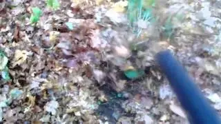 Stihl bg 50 leaf blower blowing WET LEAVES!!!