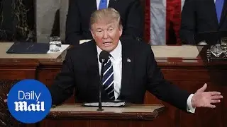 Highlights from President Trump's first speech to Congress - Daily Mail