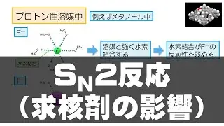 イメキソ有機 #51　SN2反応（その5 求核剤の影響）（反応 10）