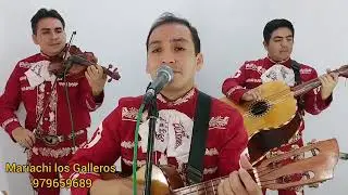 AMIGO (Cover) - Mariachi Los Galleros