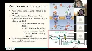 Week 3 (2/8/22): Protein trafficking and gene expression regulation